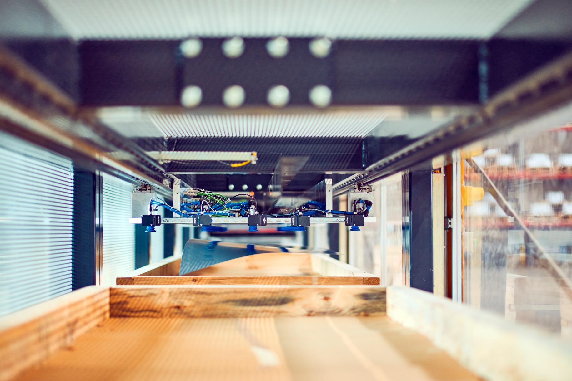 Explore our innovative sorting process.